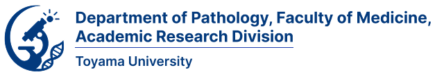 Department of Pathology, Faculty of Medicine, Academic Research Division, University of Toyama